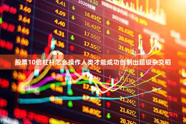 股票10倍杠杆怎么操作人类才能成功创制出超级杂交稻